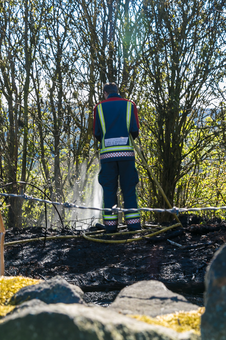 Fire Brigade 2017 (14)